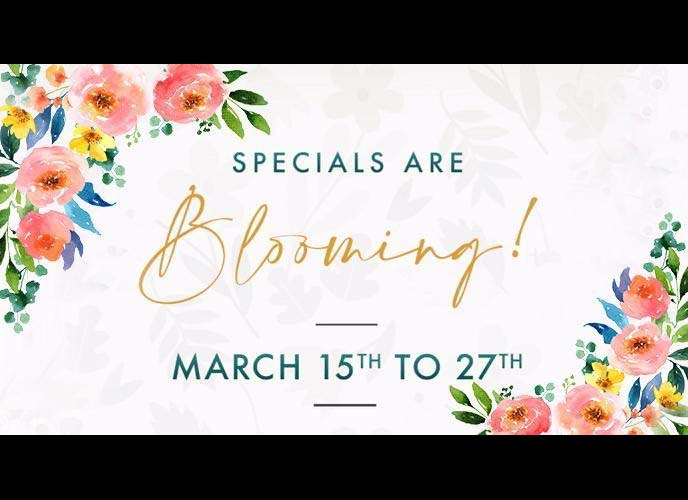 Spring is Near, and Chima Has Something Special For You!